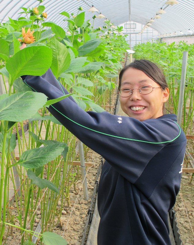 秋田市園芸振興センターで新規就農研修を受ける宍倉有李さん=秋田市で