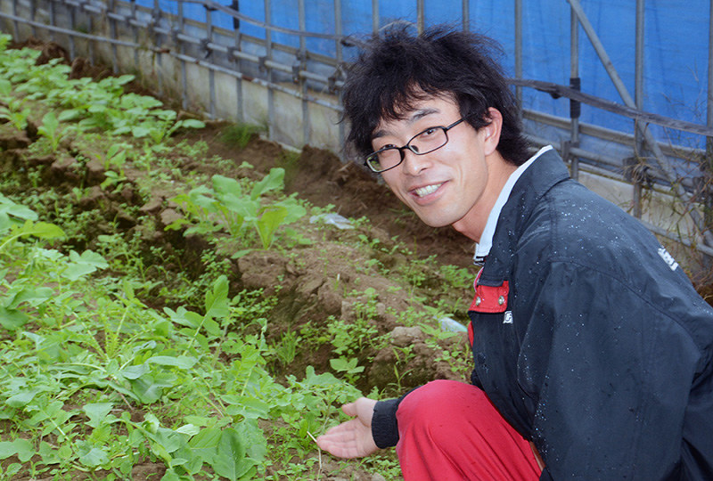 安井ファームのビニールハウスで、育てている野菜を紹介する土田龍之介さん=石川県白山市で、石川将来撮影
