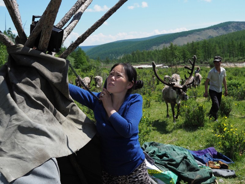 ｅｙｅ タイガの中で生き抜く モンゴルの遊牧民 トナカイ連れ移動 写真特集2 8 毎日新聞