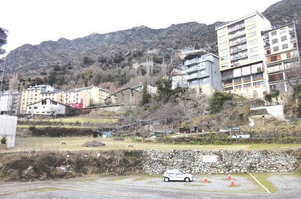 町はずれに羊のいる牧草地がほんの少しだけあった