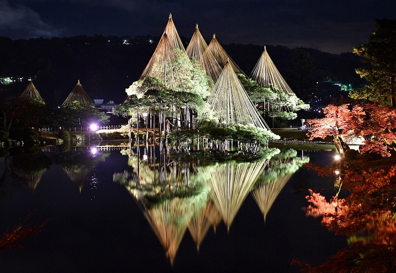 ライトアップされた唐崎松の雪吊り＝金沢市の兼六園で２０１７年１１月１６日午後６時半、猪飼健史撮影