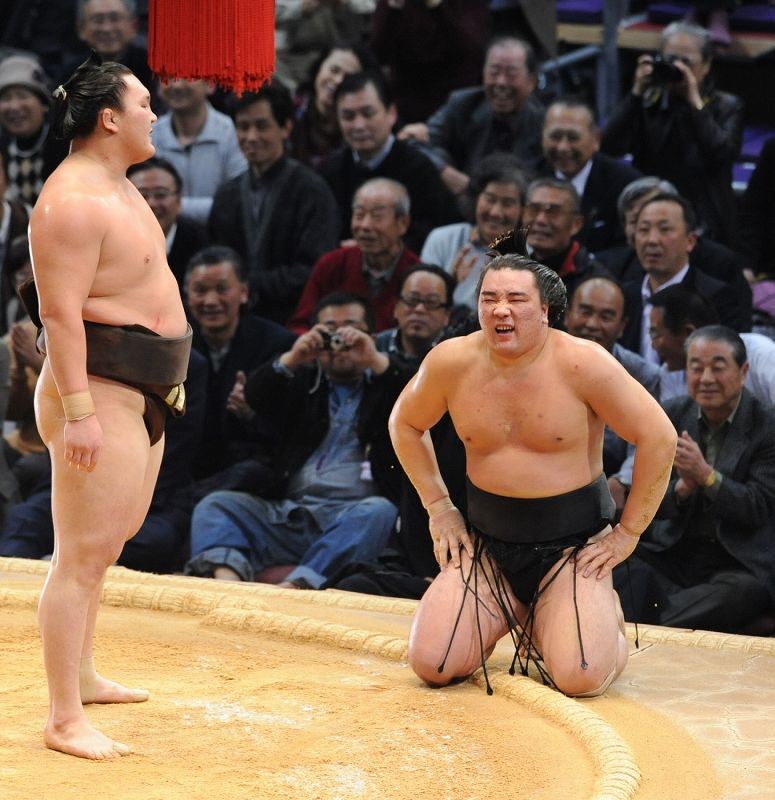 第70代 横綱日馬富士  大相撲浴衣反物 全身全霊 第70代横綱、18年間のけじめ 日馬富士公平/著 | BBMスポーツ