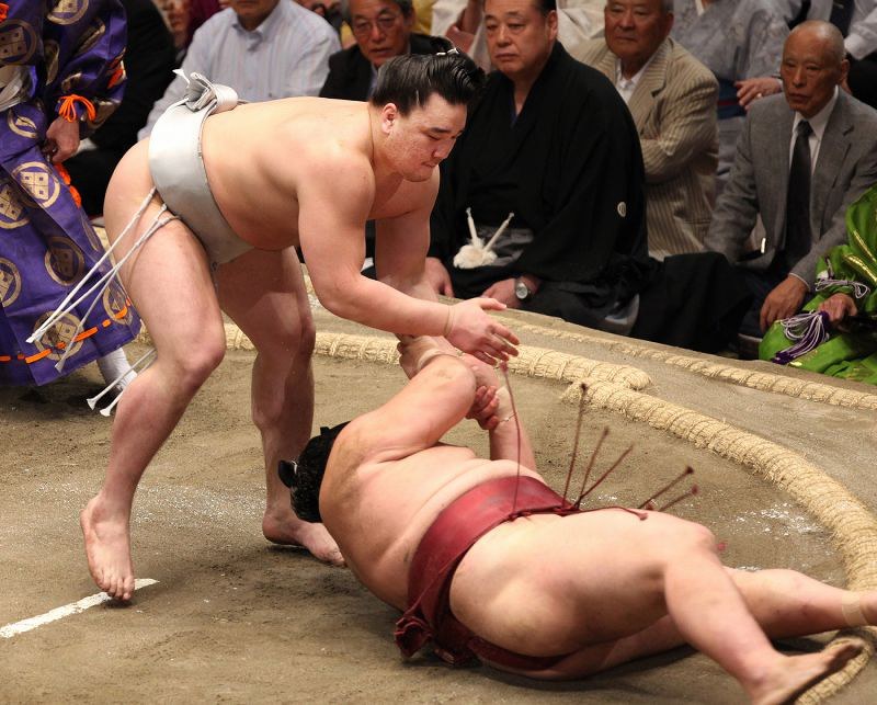 大相撲　第70代横綱　日馬富士関手形　落款入り 画文集〉第70代横綱日馬富士 相撲道 | 日馬富士 公平, 橋本