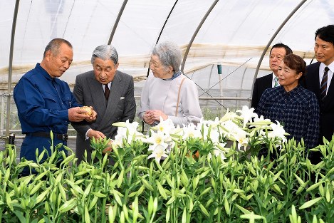 凍み豆腐作り 寒風に揺れる豆腐のカーテン 福島 立子山 福島 毎日新聞