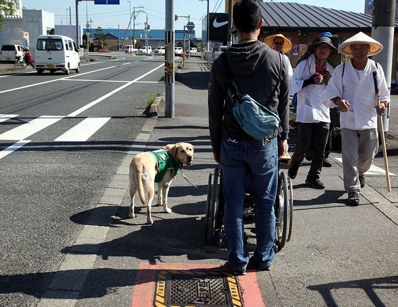 なくそう心の段差 補助犬シンポに寄せて 上 ｎｐｏ法人 兵庫介助犬協会 理事長 北澤さん 片道５時間 四国で訓練 兵庫 毎日新聞