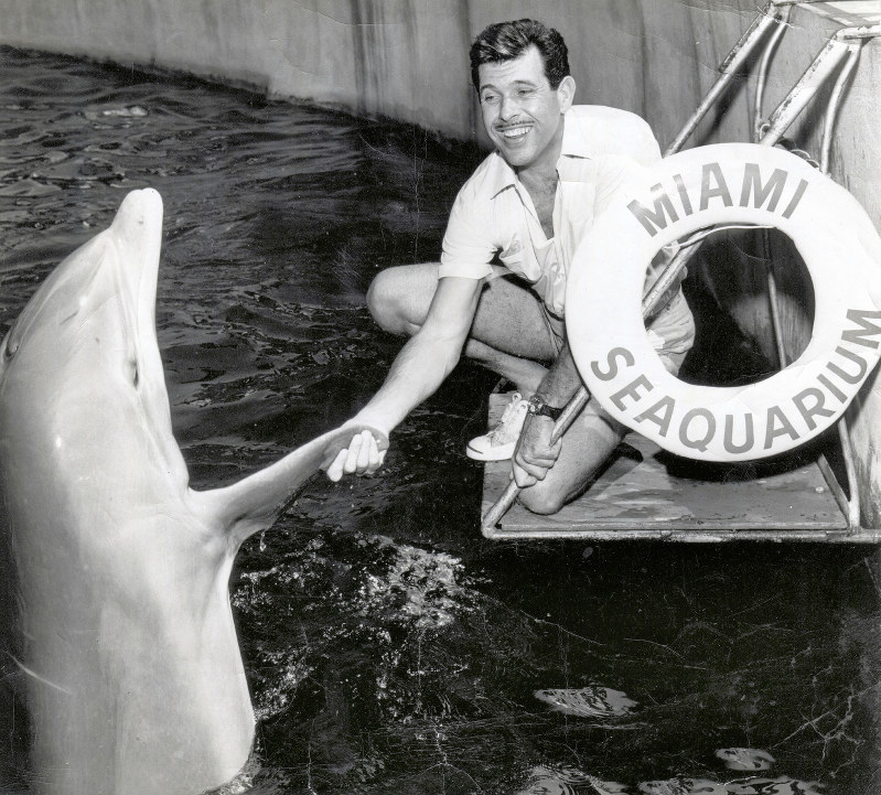 ウラカタ ノンフィクションｗ ドルフィン マン 制作統括 内野敦史さん 栄光裏の孤独感 明らかに 毎日新聞