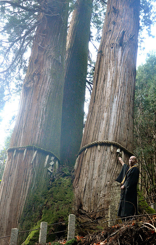 に対応する 原油 トリップ 花 脊 の 三 本杉 Cgt Expo Jp に対応する 原油 トリップ 花 脊 の 三 本杉 Cgt Expo Jp