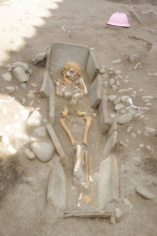 宮の本遺跡から出土し、公開された人骨=2017年12月1日、和田恭代撮影