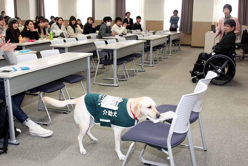 なくそう心の段差 身体障害者補助 盲導 介助 聴導 犬法１５年 デイジーが介助実演 木村さんが関学大で講義 兵庫 毎日新聞