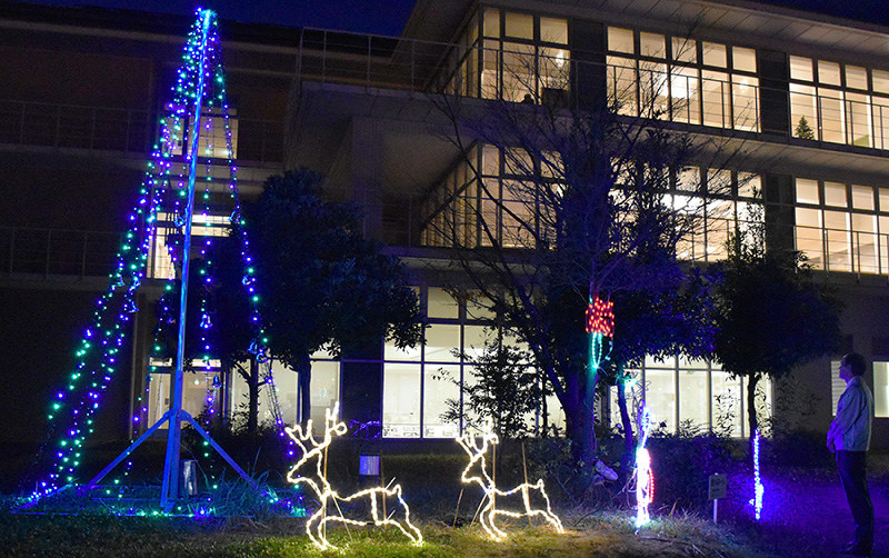 イルミネーション 病院のメリークリスマス 長浜病院の庭園 滋賀 毎日新聞