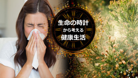 農研機構 花粉症緩和米の食卓遠く 医薬品 商品化に壁 毎日新聞