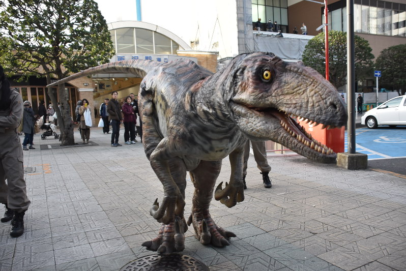 恐竜ショー 所沢駅に出現 年末年始のショーｐｒ 埼玉 毎日新聞