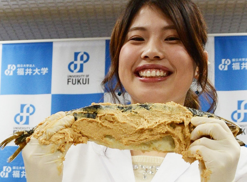 へしこ減塩製法を福井大が開発=福井市で、岸川弘明撮影