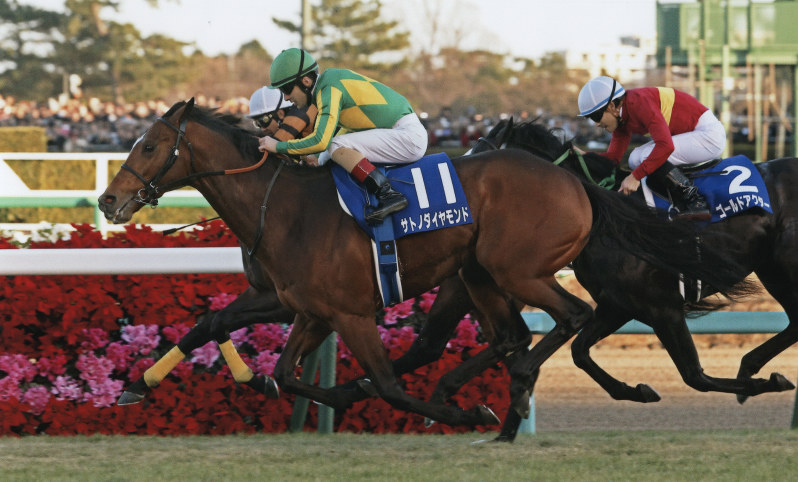 2016年の有馬記念を制したサトノダイヤモンド=JRA提供