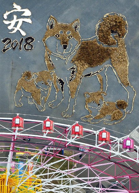 巨大地上絵：松ぼっくりなど自然素材の「戌」 茨城 | 毎日新聞