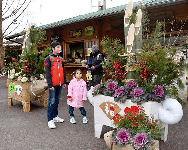 伊賀の里もくもく手作りファームの入り口に飾られた犬の門松=三重県伊賀市西湯舟で、広瀬晃子撮影
