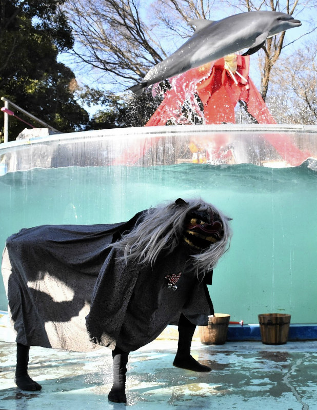 獅子舞が踊る中、ジャンプを披露するイルカ=高松市の新屋島水族館で2017年12月30日、潟見雄大撮影