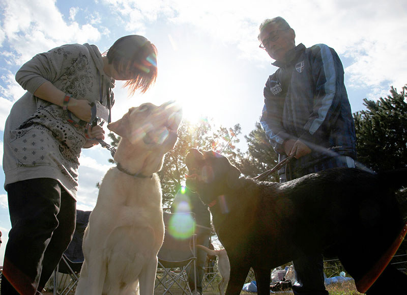 犬 いつも君といる幸せ その２止 介助犬 社長犬 兵庫 毎日新聞