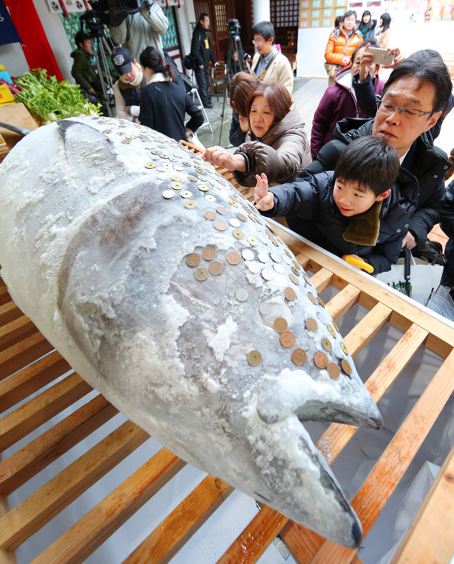 西宮神社に奉納されたマグロにさい銭を張り付ける参拝客ら=兵庫県西宮市で2018年1月8日午前10時16分、菅知美撮影