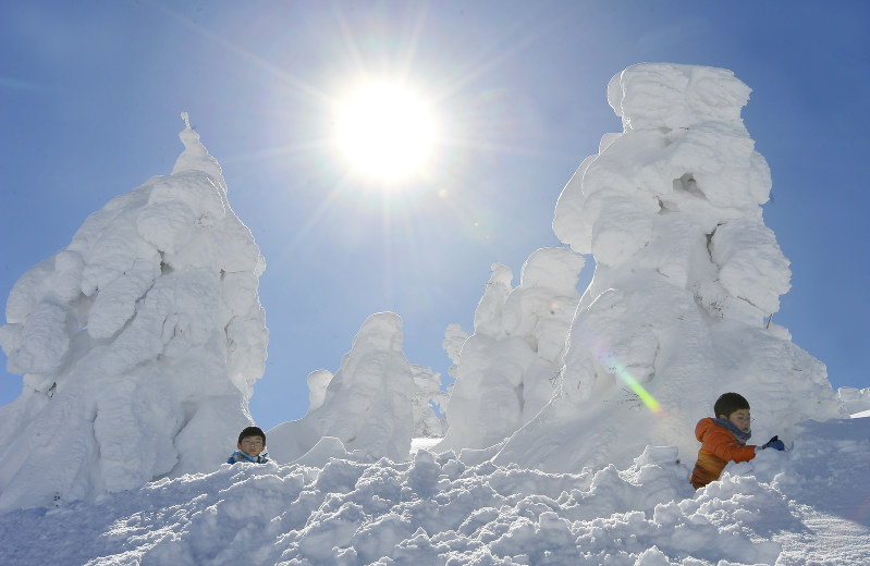 吹雪にさらされて巨大に育った樹氷=山形市の蔵王山頂付近で、2016年2月に撮影