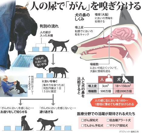 科学の森 人の嗅覚 独自に進化 動物にとって生存に不可欠 毎日新聞
