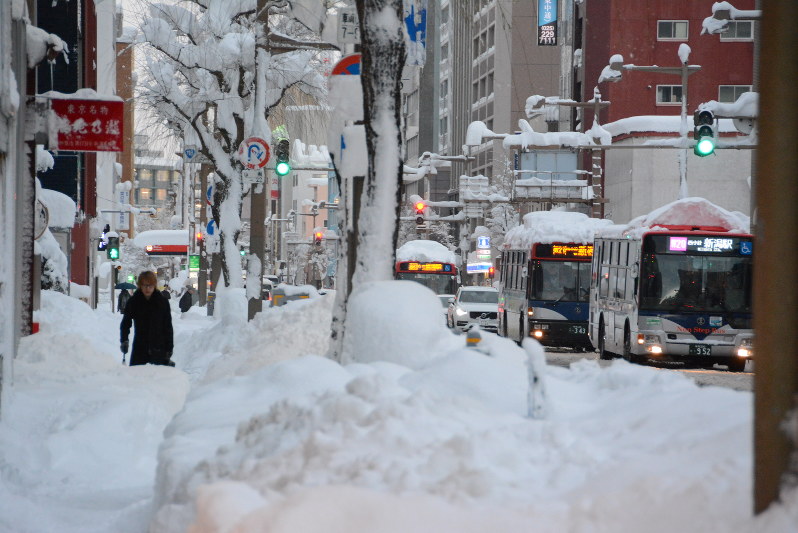 めったに雪が積もらない新潟市街地も一面銀世界になった
