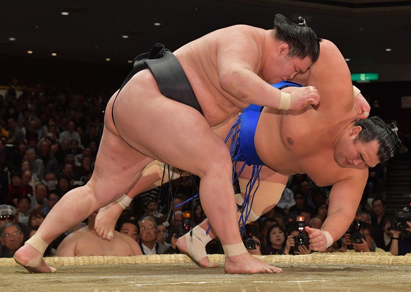 【美品】⭐️BBM 大相撲カード 大量　白鵬 稀勢の里 北勝富士 貴景勝 千代丸 BBM 2022 大相撲カード【製品情報】 | Trading Card Journal