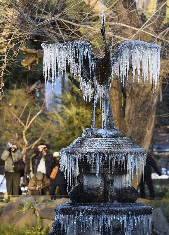 寒気 東京都心 厳寒にすくむ朝 ４８年ぶり氷点下４度 写真特集2 16 毎日新聞