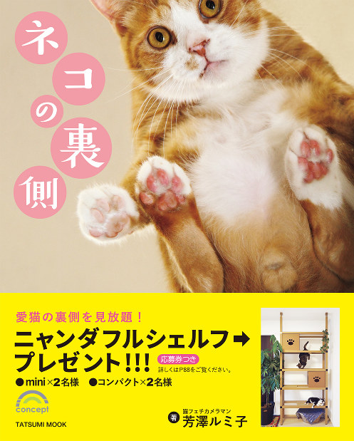 裏猫様限定②