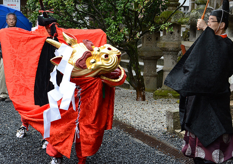 宇倍神社の例大祭で奉納される麒麟獅子舞=鳥取市で、小野まなみ撮影