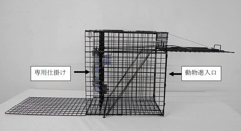 新型アラホールアライグマ専用罠