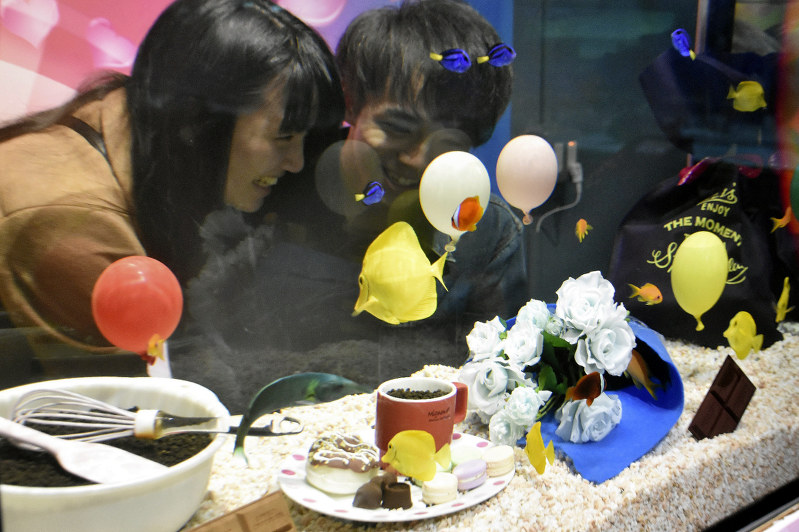 風船や菓子などで飾られた水槽の中を泳ぎ回る魚たち=青森市の浅虫水族館で2018年1月29日午後3時32分、北山夏帆撮影