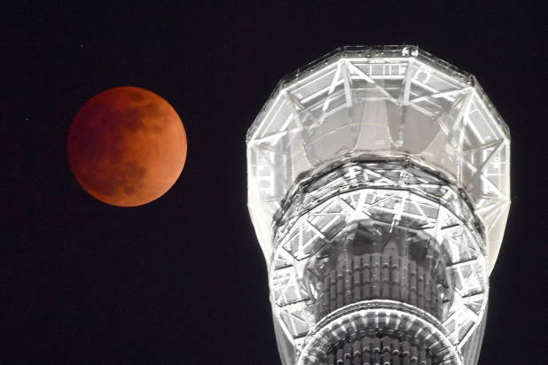 血染めの月/Blood Moon(3枚) 血染めの月/Blood Moon》[MMA] 赤R | 日本