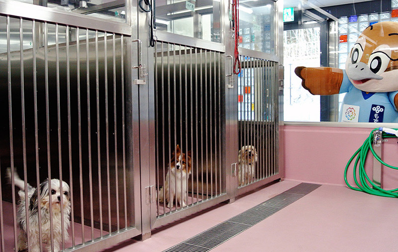 命の重み ペットを飼うということ 触れ合って正しい知識を 毎日新聞