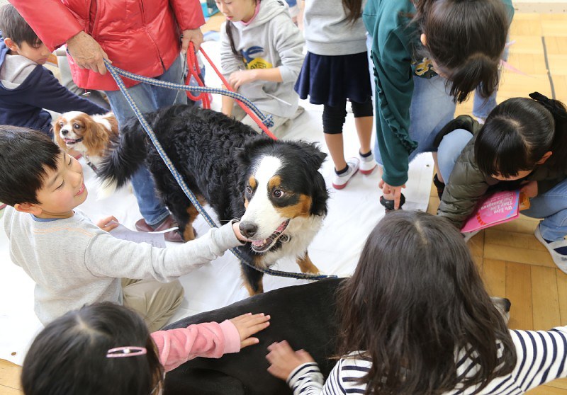 保護動物 平塚 旭小６年生が学ぶ 失われる命 守りたい 募金や啓発 県センター建て替え支援 神奈川 毎日新聞