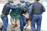 武装集団を取り押さえる警視庁の専門部隊と警備犬の訓練