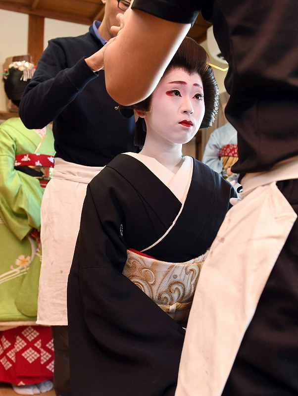 京都：春めく花街、鮮やか芸舞妓 北野をどり・衣装合わせ [写真