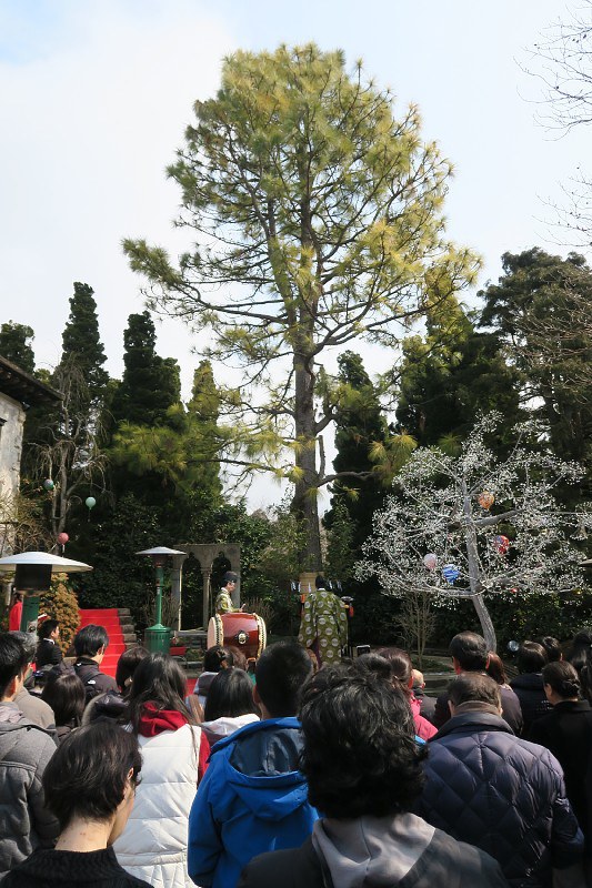 感謝祭をした大王松(中央)=箱根ガラスの森美術館で