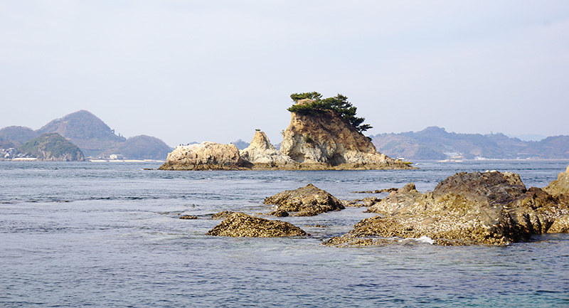 舞台をゆく 松山市 夏目漱石 坊っちゃん まるで名画 松抱く小島 毎日新聞
