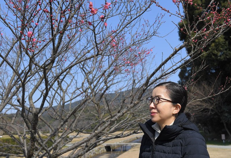 大宰府展示館わきに開いた梅の花と酒井順子さん=福岡県太宰府市で、津村豊和撮影