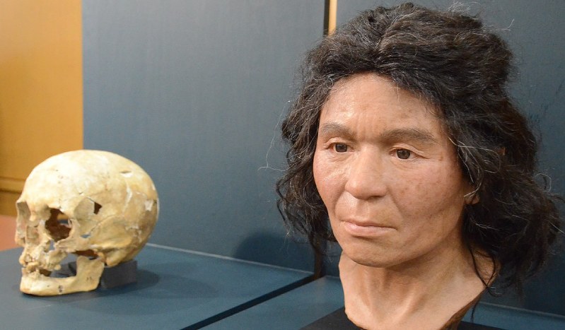 復元された縄文人女性の顔(右)とその基となった頭骨=東京都台東区上野公園の国立科学博物館で