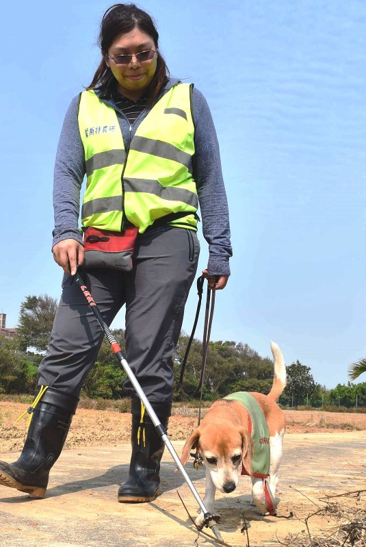 ヒアリをさがす探知犬の「フェイフェイ」=台湾北部・桃園市で、福岡静哉撮影