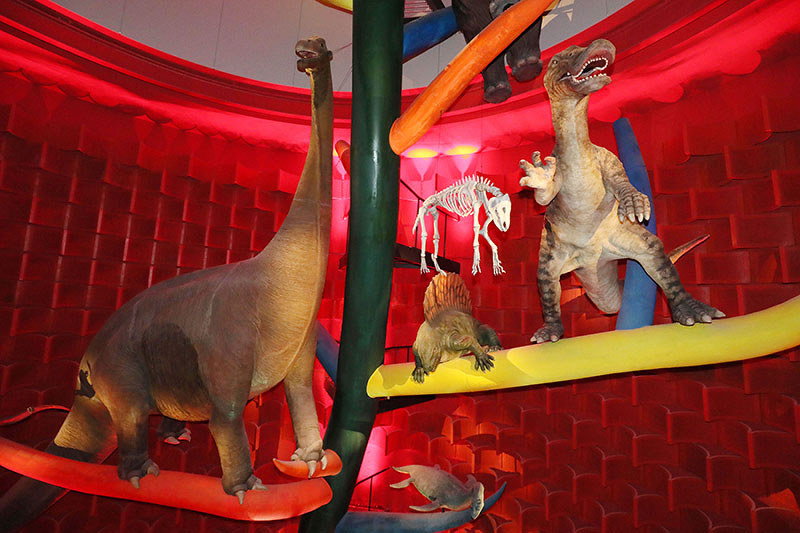 太陽の塔：岡本太郎の熱 ここに [写真特集13/20] | 毎日新聞