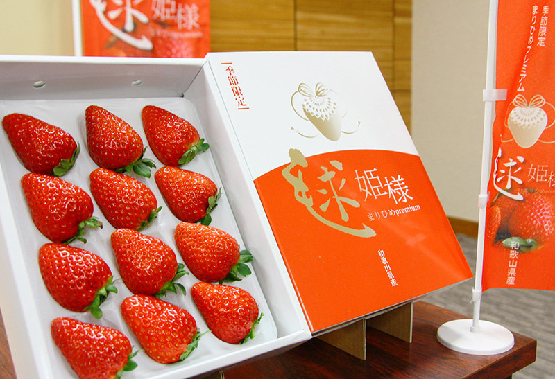 高級イチゴ 毬姫様 モテモテ 県開発 売れ行き上々 和歌山 毎日新聞