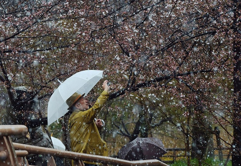 低気圧発達：関東甲信で春の雪 [写真特集5/5] | 毎日新聞