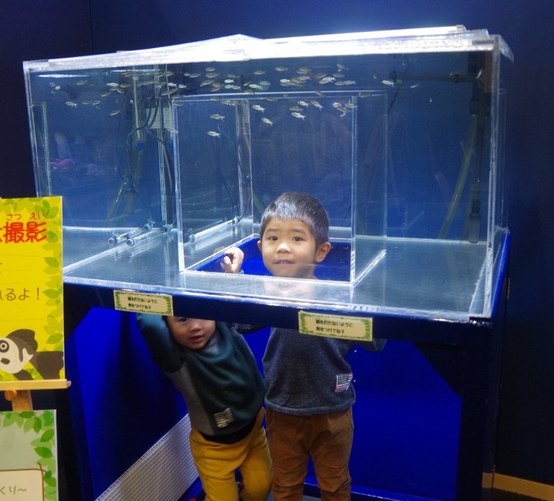 海きららのペンギンテトラの水槽に潜り込み、記念撮影する子どもたち
