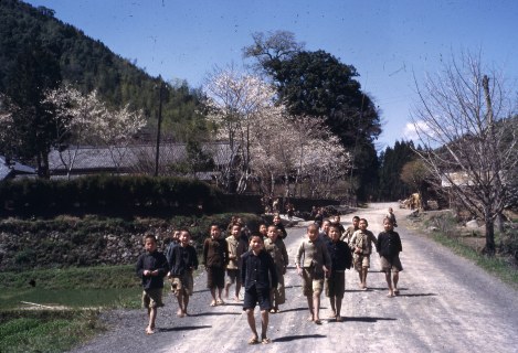 オースティンコレクションより「ジープを追いかける子どもたち」。撮影場所、日時は不明＝Ｃｏｐｙｒｉｇｈｔ　ｏｆ　Ｐｈｏｔｏｇｒａｐｈｙ：Ｄｒ．Ａｎｎｉｋａ　Ａ．Ｃｕｌｖｅｒ，Ｃｕｒａｔｏｒ　ｏｆ　ｔｈｅ　Ｏｌｉｖｅｒ　Ｌ．Ａｕｓｔｉｎ　Ｐｈｏｔｏｇｒａｐｈｉｃ　Ｃｏｌｌｅｃｔｉｏｎ．