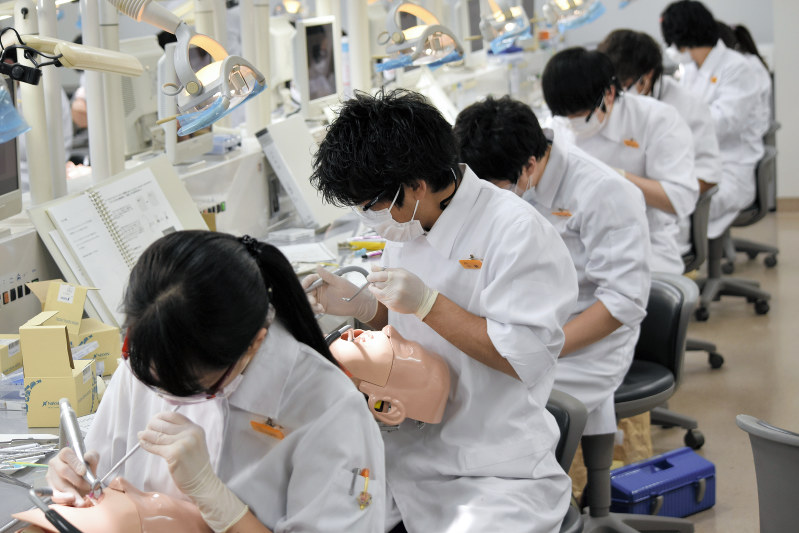 「狭き門」となった歯科医師を目指し、臨床基礎実習に取り組む学生=東京歯科大提供