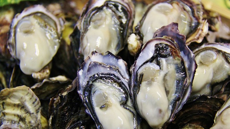 小ぶりだが、身のキメが細かくはじけるような食感が特徴の「ひがた美人」=筆者提供