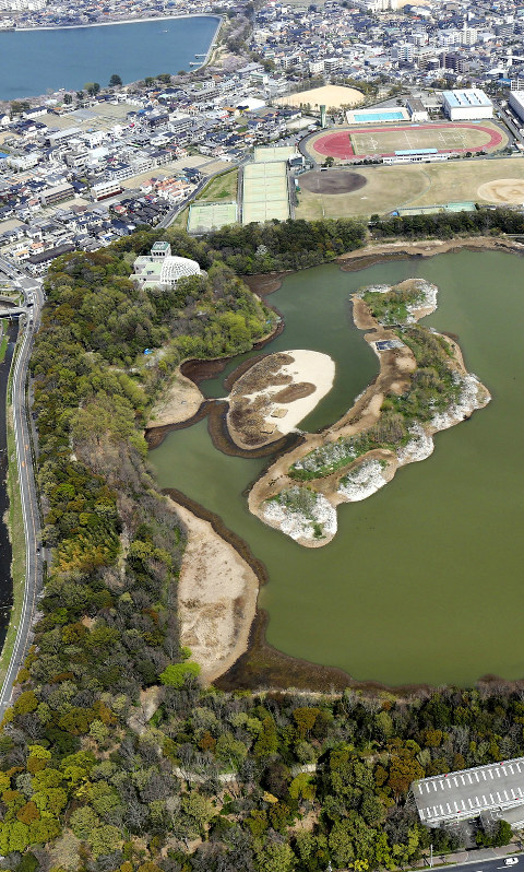 カラスの大量死が確認された昆陽池公園＝兵庫県伊丹市で２０１８年４月３日午後１時１４分、本社ヘリから小出洋平撮影